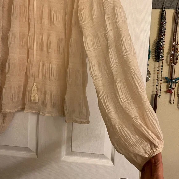 Free the Roses Sheer Ruffled Blouse - Picture 6 of 9